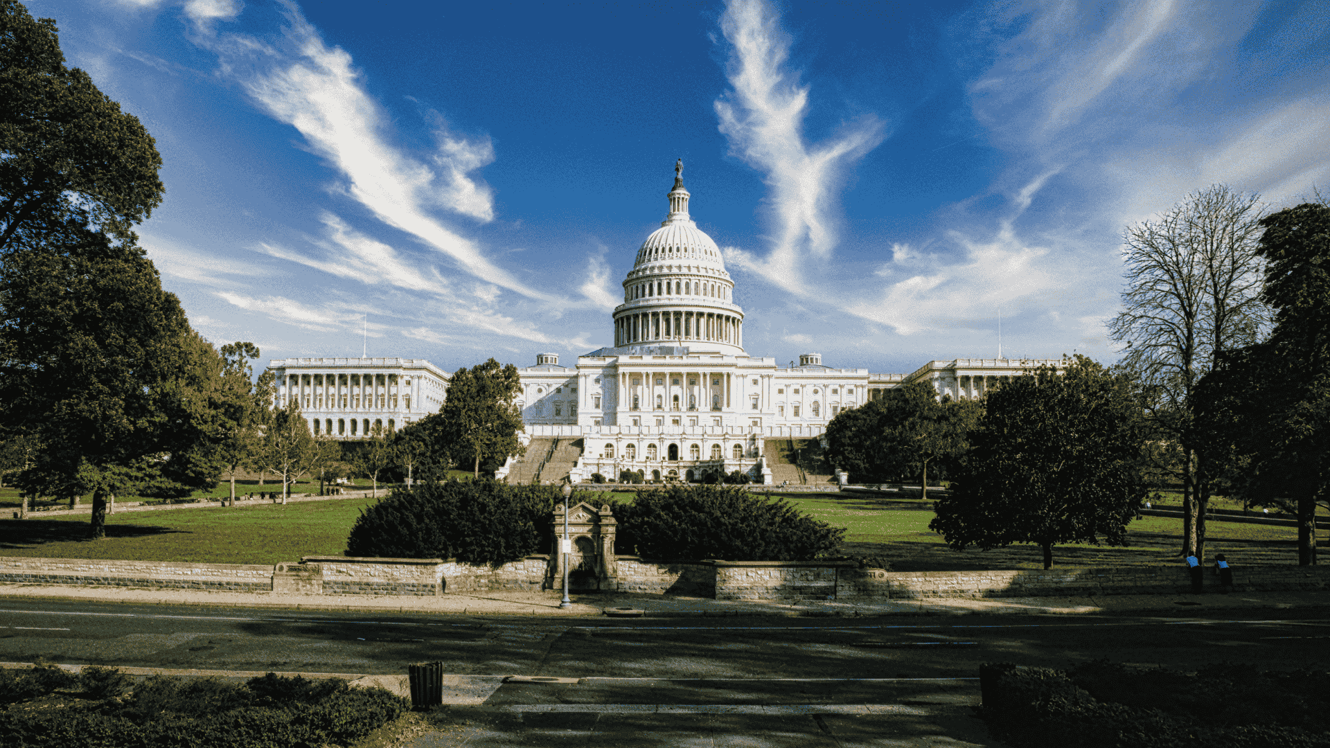Top Day 1 CPT Universities in the DMV Area (Washington D.C., Maryland & Virginia)